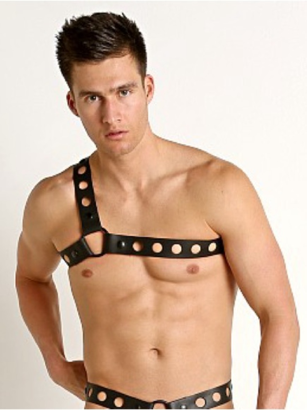 🆕 Gregg Homme Charnel Leather Chest Harness